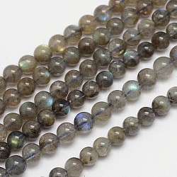Chapelets de perles rondes en labradorite naturelle, Grade a, 5mm, Trou: 1mm, Environ 74 pcs/chapelet, 15.5 pouce