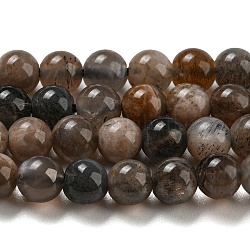 Naturali nera perle di pietra di luna fili, tondo, 4.5mm, Foro: 0.7 mm, circa 92pcs/filo, 15.55'' (39.5 cm)