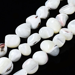Fili di perle di conchiglia trochid naturale / trochus, pepite, candeggiare, colore conchiglia, 4~12x7~9x4~8mm, Foro: 0.7 mm, circa 50~54pcs/filo, 15.35 pollice (39 cm)