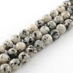Dyed Natural Sesame Jasper Round Beads Strands, Gainsboro, 8mm, Hole: 1mm, about 48pcs/strand, 14.9 inch