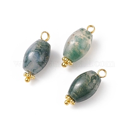 Naturali muschio pendenti agata, con perline in lega e passanti in ottone, fascino ovale, oro, 19x8.5x8.5mm, Foro: 2 mm