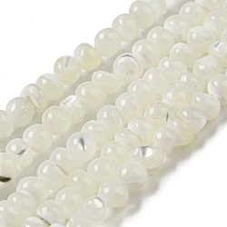 Fili di perline di conchiglia trochus naturale, tondo, bianco floreale, 4~4.5x4mm, Foro: 0.5 mm, circa 91~93pcs/filo, 15.35~15.55'' (39~39.5 cm)