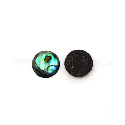 Cabochon conchiglia paua&nbsp;SHEL-WH0001-002B-1