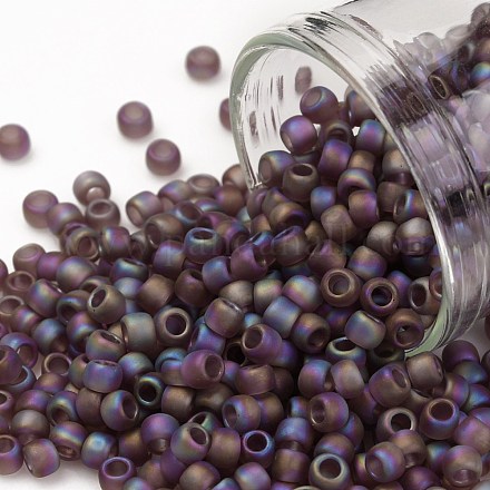 TOHO Round Seed Beads SEED-JPTR08-0166BF-1
