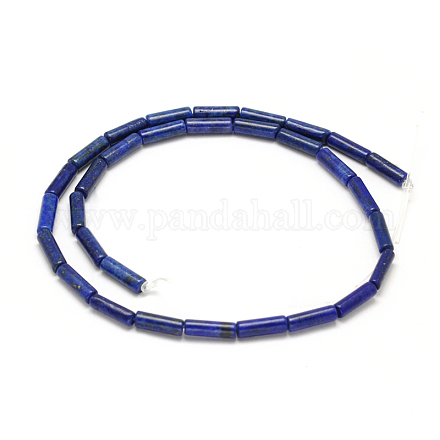Natural Lapis Lazuli Column Bead Strands X-G-F247-13-1