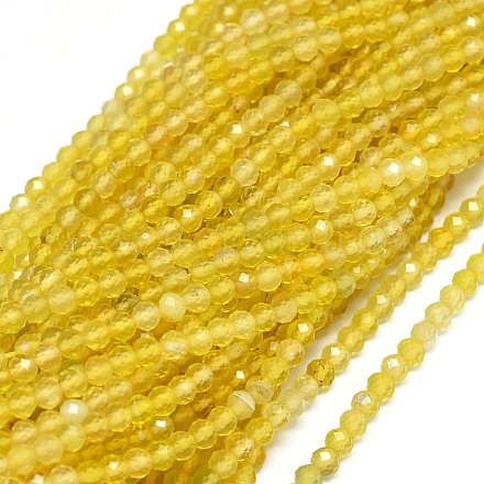 Naturelles agate jaune brins de perles G-O180-05C-1