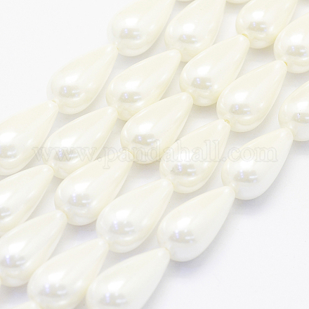 Shell Pearl Beads Strands BSHE-P024-06-1