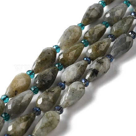 Natural Labradorite Beads Strands G-B028-A04-1