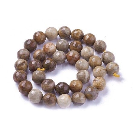Chapelets de perles en bois pétrifié naturel G-P430-16-D-1