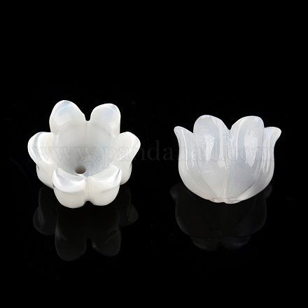 Bouchons de perles de coquillage blanc naturel SSHEL-N032-58B-1