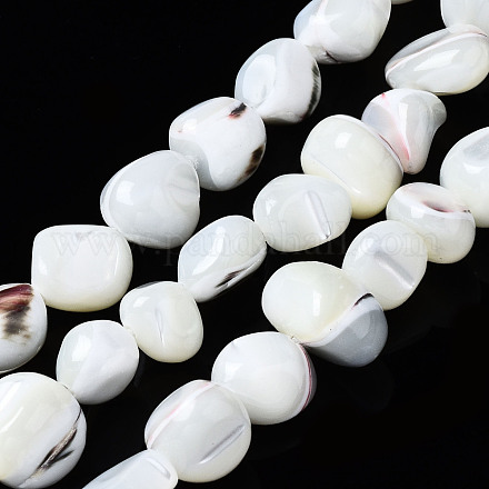 Chapelets de perles de coquille de trochid / trochus coquille SSHEL-S266-015A-1