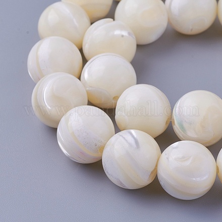 Chapelets de perles de coquillage SSHEL-E571-39-14mm-1