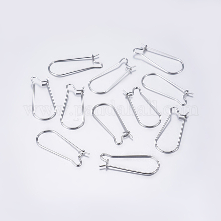 304 Stainless Steel Hoop Earrings STAS-L198-15A-P-1