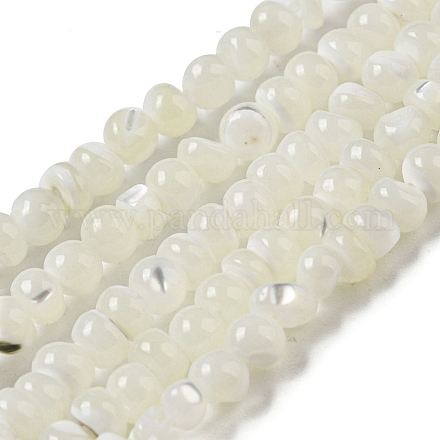 Brins de perles de coquillages naturels de troca SSHEL-H072-13B-1