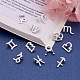 Fashewelry 24 pièces 2 ensembles d'accessoires de pendentif de bijoux en alliage de zinc FIND-FW0001-08P-4