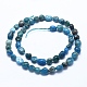 Natural Apatite Beads Strands G-E483-41B-2