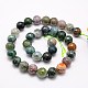 Natural Indian Agate Beads Strands G-G542-14mm-19-2