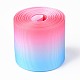 Gradient Rainbow Polyester Ribbon OCOR-G008-04F-1