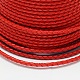 Eco-Friendly Braided Leather Cord WL-E008-6mm-26-2