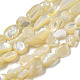Shell normal de perles blanches de brins SSHEL-H072-15-1
