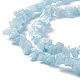 Natürliche weiße Jade Chip-Perlen-Stränge G-G905-02-4
