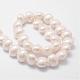 Cuentas perlas de concha de perla BSHE-L028-01-13x16-2