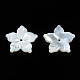 Perles de coquillage blanc naturel SSHEL-N027-131A-01-3