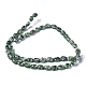 Natürliche grüne Fleck Jaspis Perlen Stränge G-Z006-A22-3