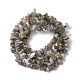 Labradorite naturelle perles de puce brins G-G905-03-3
