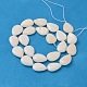 Natural White Shell Beads Strands X-PBB263Y-1-2