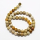 Natural Fossil Coral Beads Strands G-G735-51-4mm-2