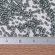 Perles miyuki delica X-SEED-J020-DB0697-4