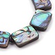 Bracelets de perles tressées en coquillage d'ormeau naturel/paua BJEW-JB03995-2