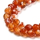 Dyed Natural Fire Crackle Agate Beads Strands G-G007-01E-4