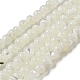Brins de perles de coquillages naturels de troca SSHEL-H072-13B-1