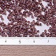 Perline miyuki delica X-SEED-J020-DB0129-4