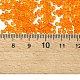 Runde Saatperlen&nbsp;X2-SEED-A004-2mm-9-4