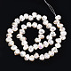 Fili di perle di plastica imitazione perla abs KY-N015-13-A04-2