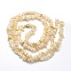 Natural White Shell Beads X-BSHE-O049-B-01-2