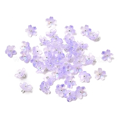 Glas Anhänger / charms&nbsp;GLAA-G127-05