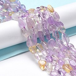 Abalorios naturales Ametrine hebras&nbsp;G-I351-A11