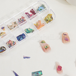 1 Set Muschelscheiben in 12 Farben&nbsp;MRMJ-SP0001-05A