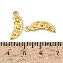Anhänger aus Edelstahl 304&nbsp;STAS-Q350-10G