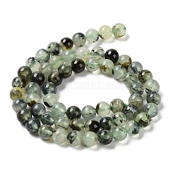 Chapelets de perles en préhnite naturelle&nbsp;LS-G-P322-48-6mm-01
