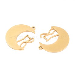 Pendentifs en acier inoxydable 304&nbsp;STAS-N108-31G