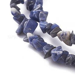 Natur Sodalith Perlen Stränge&nbsp;X-G-G782-31