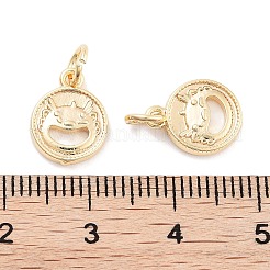 Encantos de latón&nbsp;KK-P271-29G
