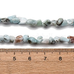 Larimar Naturperlen Stränge&nbsp;G-I389-A18