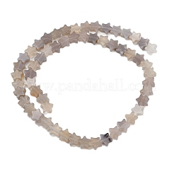 Natürlichen graue Achat Perlen Stränge&nbsp;G-U021-B01-02