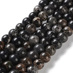 Fili di perle di regalite naturale tinta/diaspro imperiale/diaspro sedimentario marino&nbsp;G-B124-C01